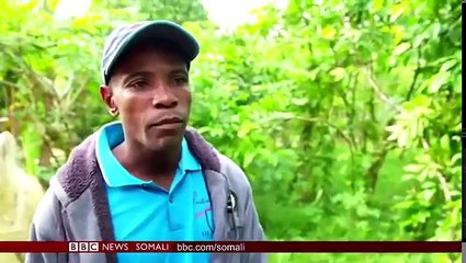 WARARKA TELEFISHINKA BBC SOMALI 29.08.2018