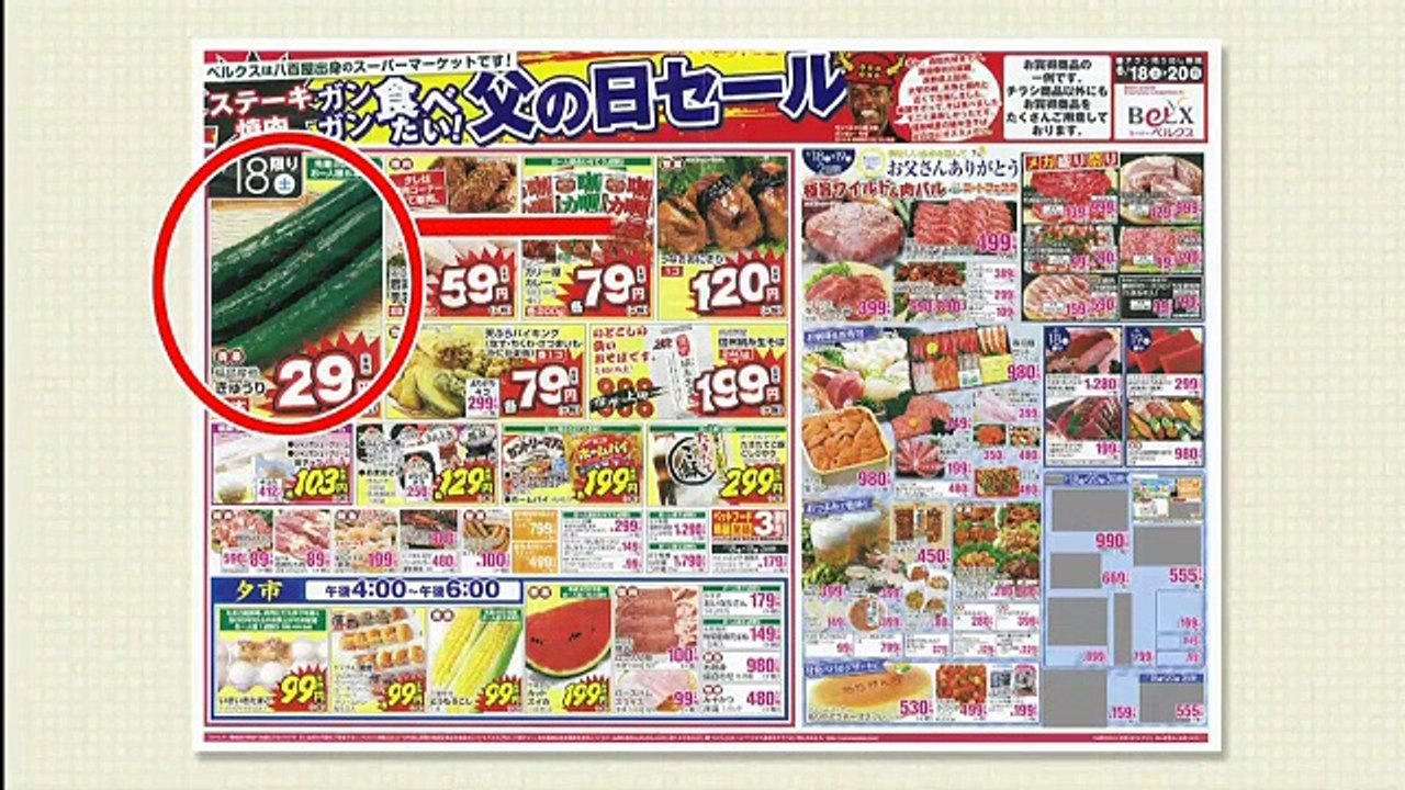 タモリ倶楽部　買い物が1000倍上手くなる！？折込チラシ大熟読祭 ホームセンター編　2018/02/09