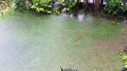 Front Yard Flooded in Hawaii