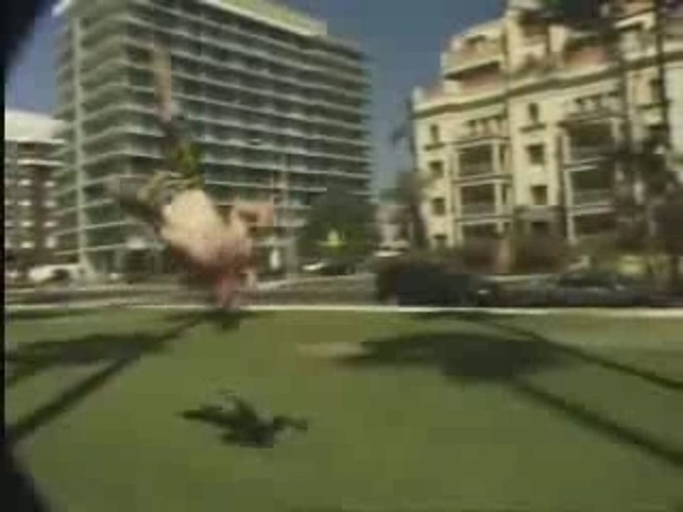 Amir Solsky capoeira