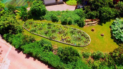 毛原晃の動画 Dailymotion