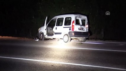 Hafif ticari araç ağaca çarptı: 1 yaralı - ADANA