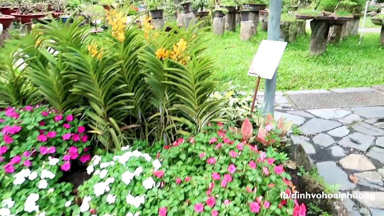 [VIDEO ĐẦU TIÊN] Tham quan Thảo Cầm Viên - sở thú Sài Gòn - SaiGon Zoo