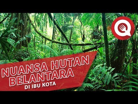 Nuansa Hutan Belantara di Ibu Kota