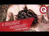 4 Khasiat Dahsyat Cacing Tanah