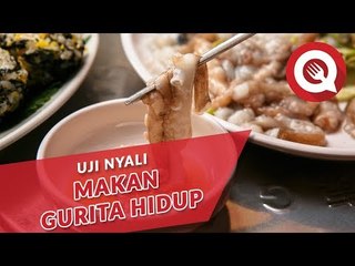 Uji Nyali Makan Gurita Hidup