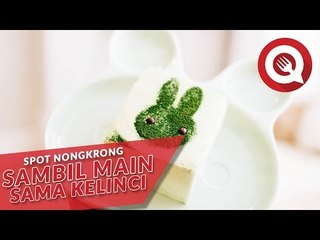 Spot Nongkrong Sambil Main Sama Kelinci