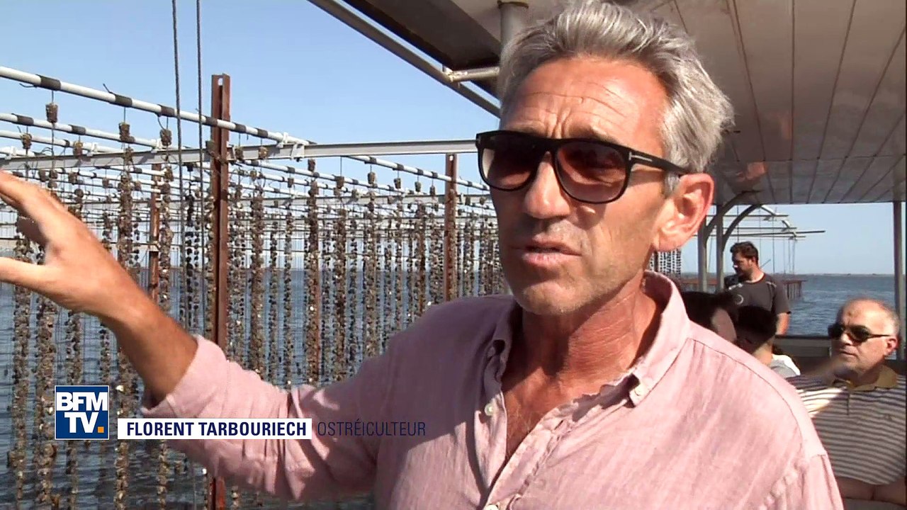 Pourra-t’on encore manger des huîtres dans 5 ans ?