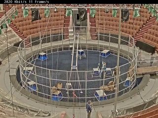 أسد غاضب يهجم على مدربه