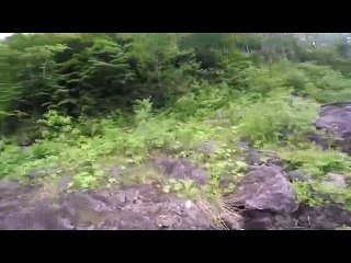 salmon sportfishing good video