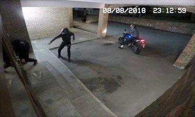 Un cambrioleur assommé par son complice avec une brique