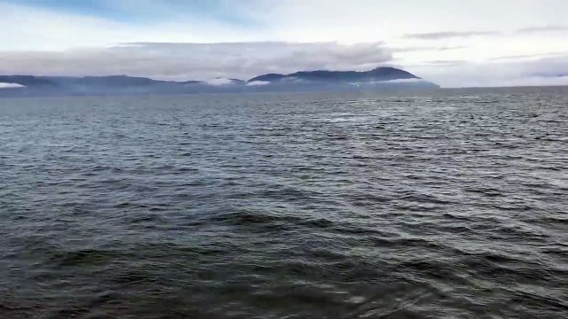 Une baleine bondit très près d'un bateau