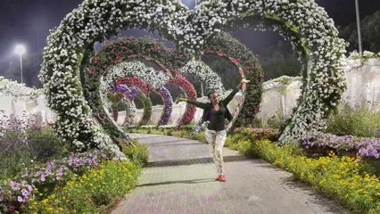 Dubai Miracle Garden Ad Night