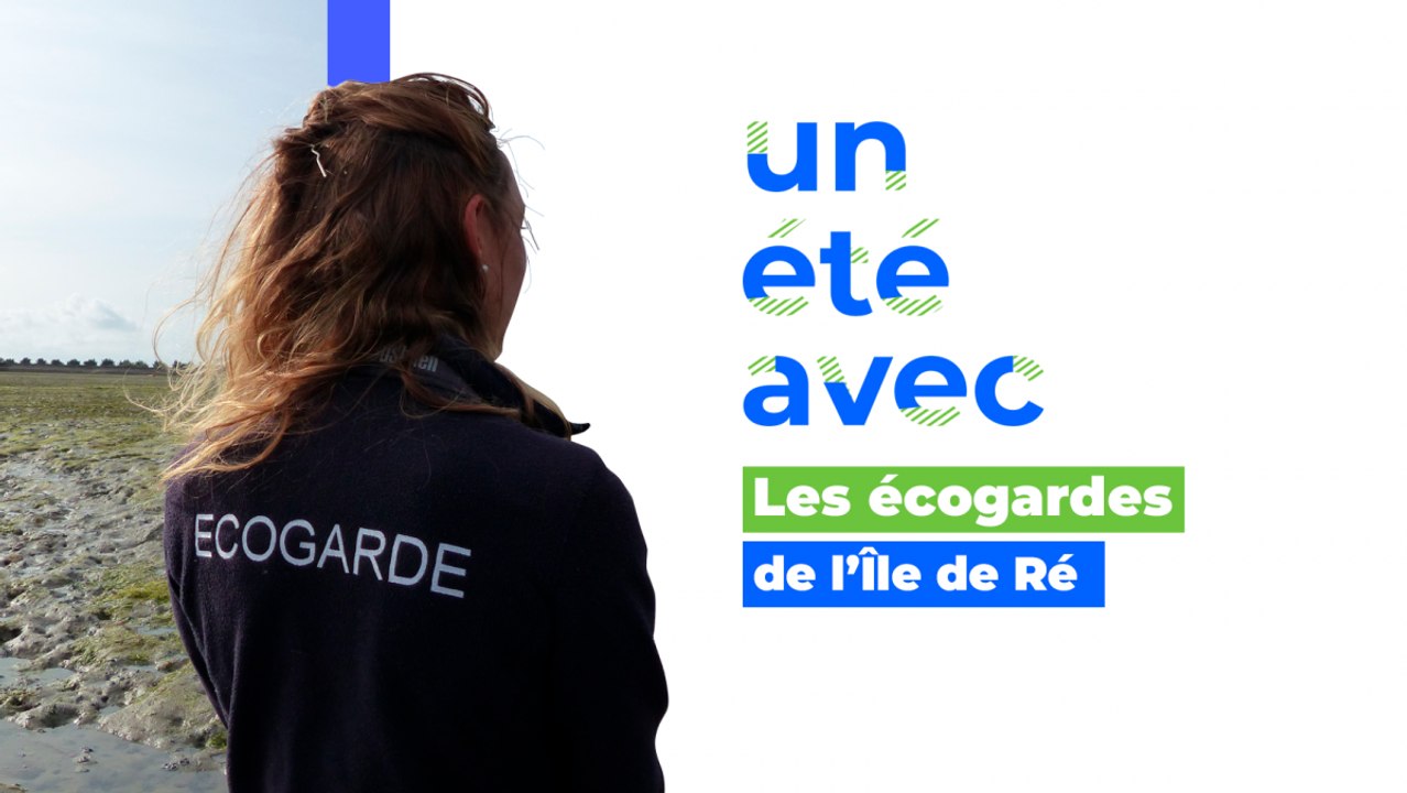 Un été avec… les écogardes de l’Île de Ré