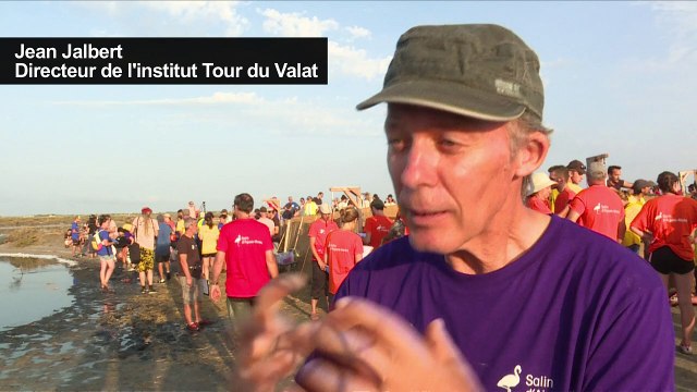 Camargue: pister les flamants roses pour mieux les préserver