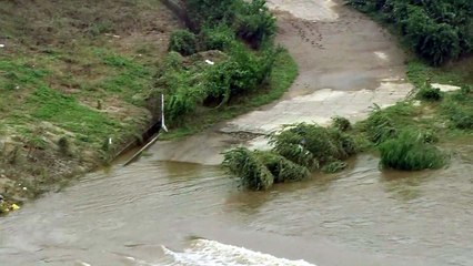 쓰러지고 쓸려가고...곳곳 수마 상처 / YTN
