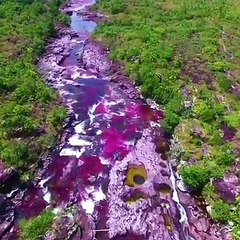 نهر قوس قزح في كولومبيا هو واحد من أجمل الأنهار في العالم