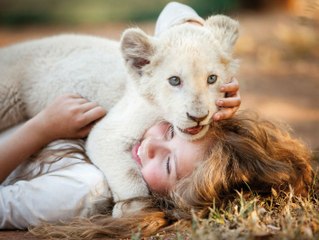 Mia et le Lion Blanc: Teaser HD VF