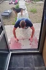dog has other plans as mate does push ups