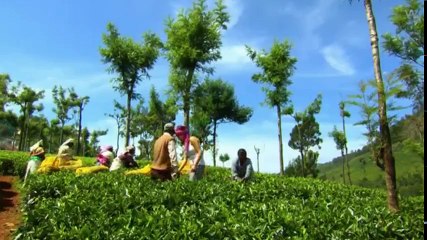 Nev Indian Call Centre S01  E05 E 5 - Part 01