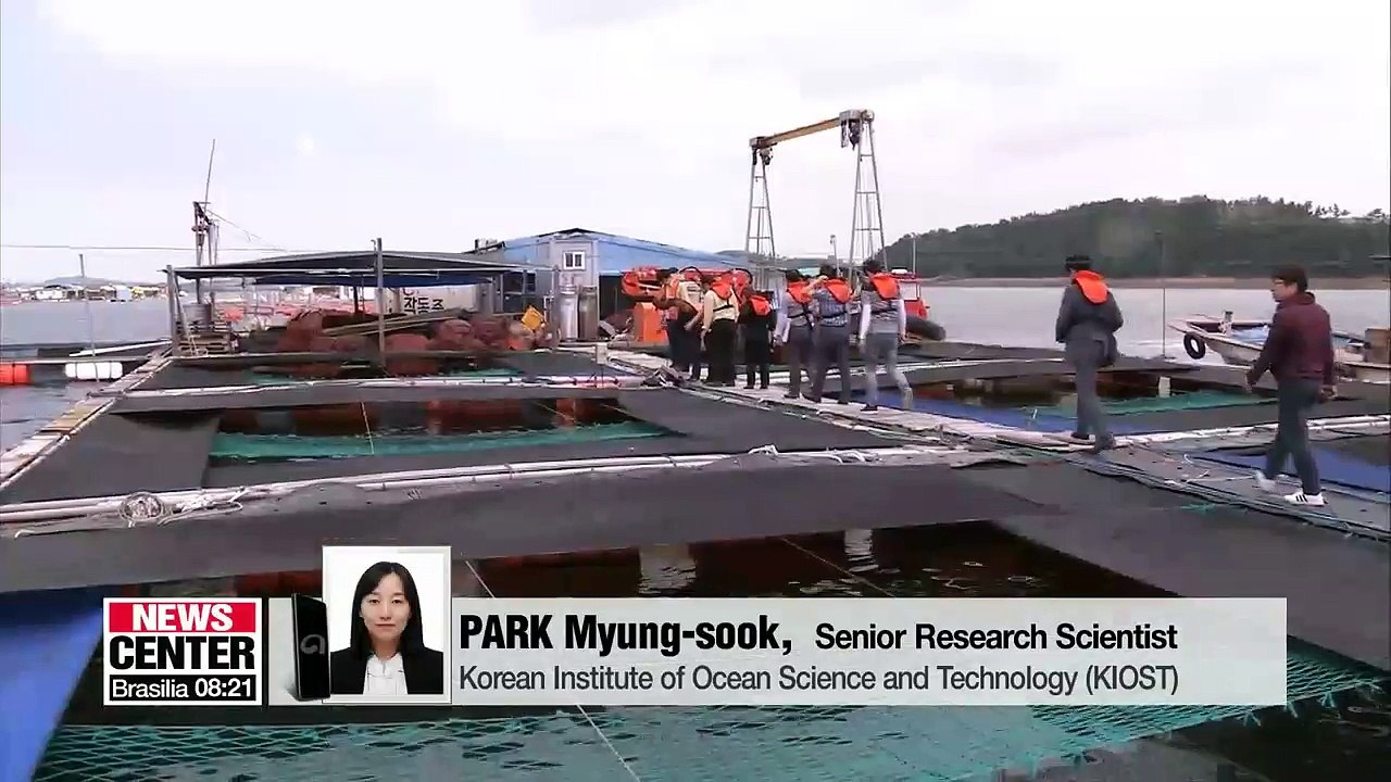 Korea's southern waters staying hot for nearly two weeks longer than 30 years ago: KIOST