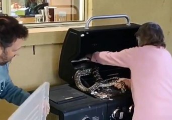 Gutsy Gran Wrestles Snakes Off a Barbecue in Brisbane