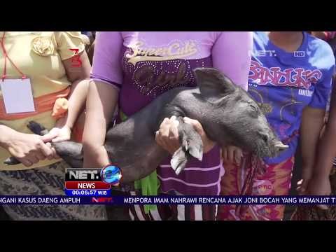 Cara Unik Warga Bali Dalam Menyambut Kemerdekaan-NET24