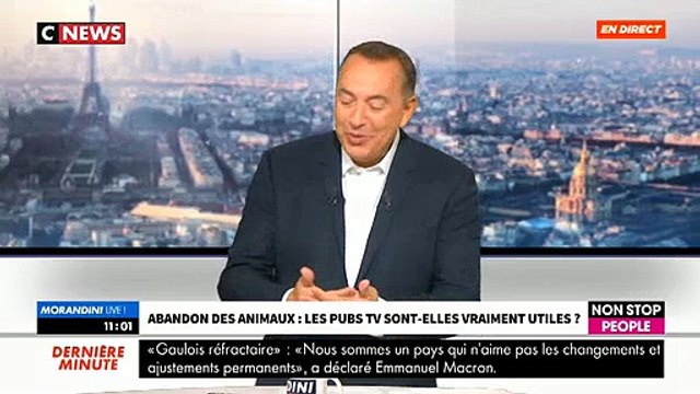 Animaux abandonnés: Le président d'une association d'aides aux animaux lance un appel au président Emmanuel Macron Je veux des chiffres concrets, il faut que cela change, je veux des actes !
