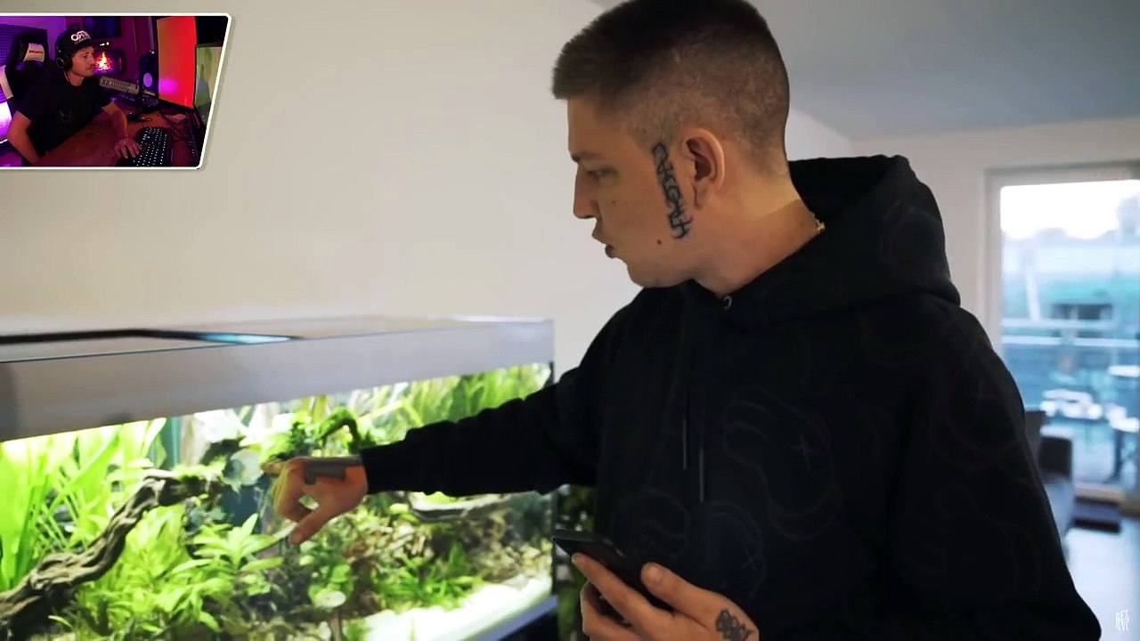 izzi reagiert auf Montanablack's Aquarium!