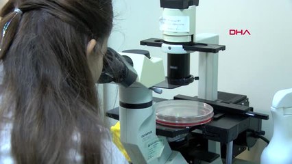 Antalya Aü'de, Şeker Hastalığını Tek Dozla İyileştiren İlaçlar Geliştirildi Hd