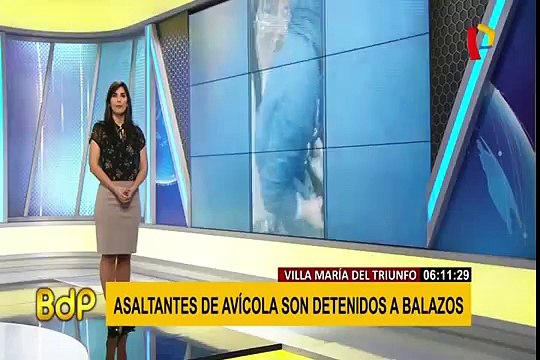 VMT: PNP captura a balazos a 3 delincuentes que asaltaron avícola