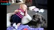 Shih Tzu Dog makes Baby laugh very happy - Dog Loves Baby Videos