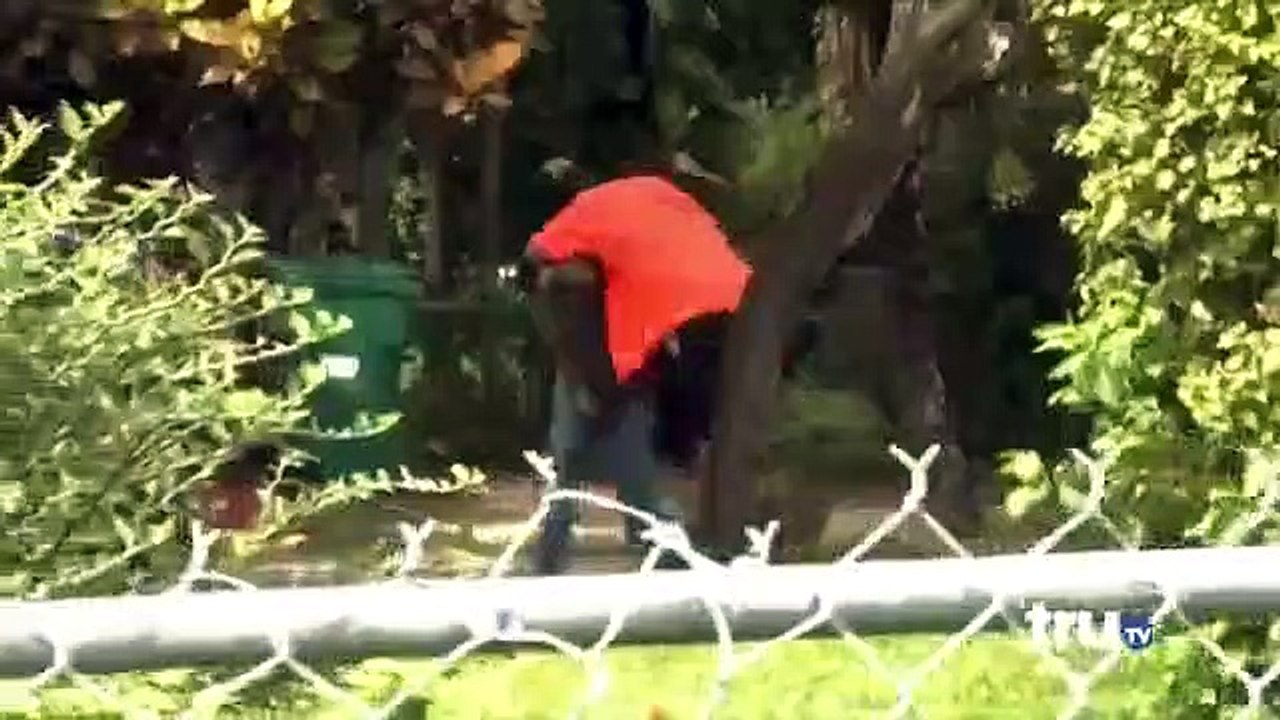 South Beach Tow S02 E12
