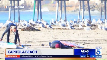 Doctor Uses CPR to Save Man's Life During Their First Date