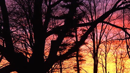 EP02 An Independent People - Seeds Of Liberty