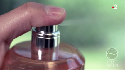 Beauté - Histoire de sillages...