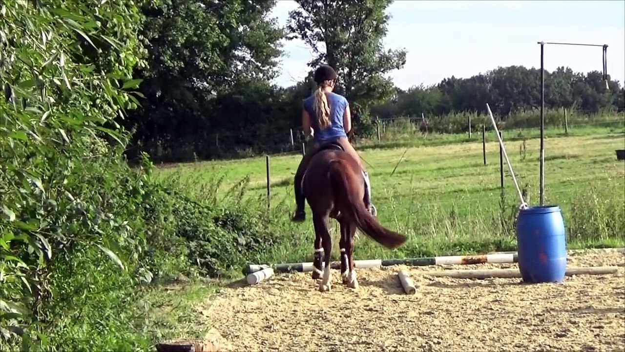 Das erste Mal Working Equitation - Kurs mit Solido