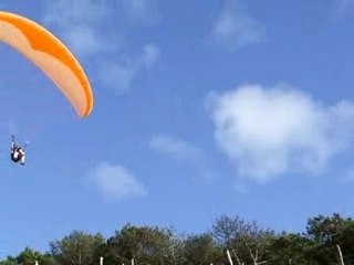 Le fou du roi et p'pa tritan