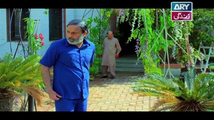 Aangan Episode 35 - on ARY Zindagi in High Quality 30th August  2018