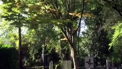 Best Friends Whenever S02E04 Girl Code