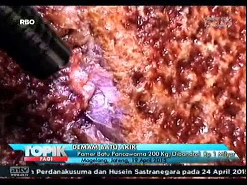 Batu Pancawarna 200 Kg Seharga Rp1 Miliar