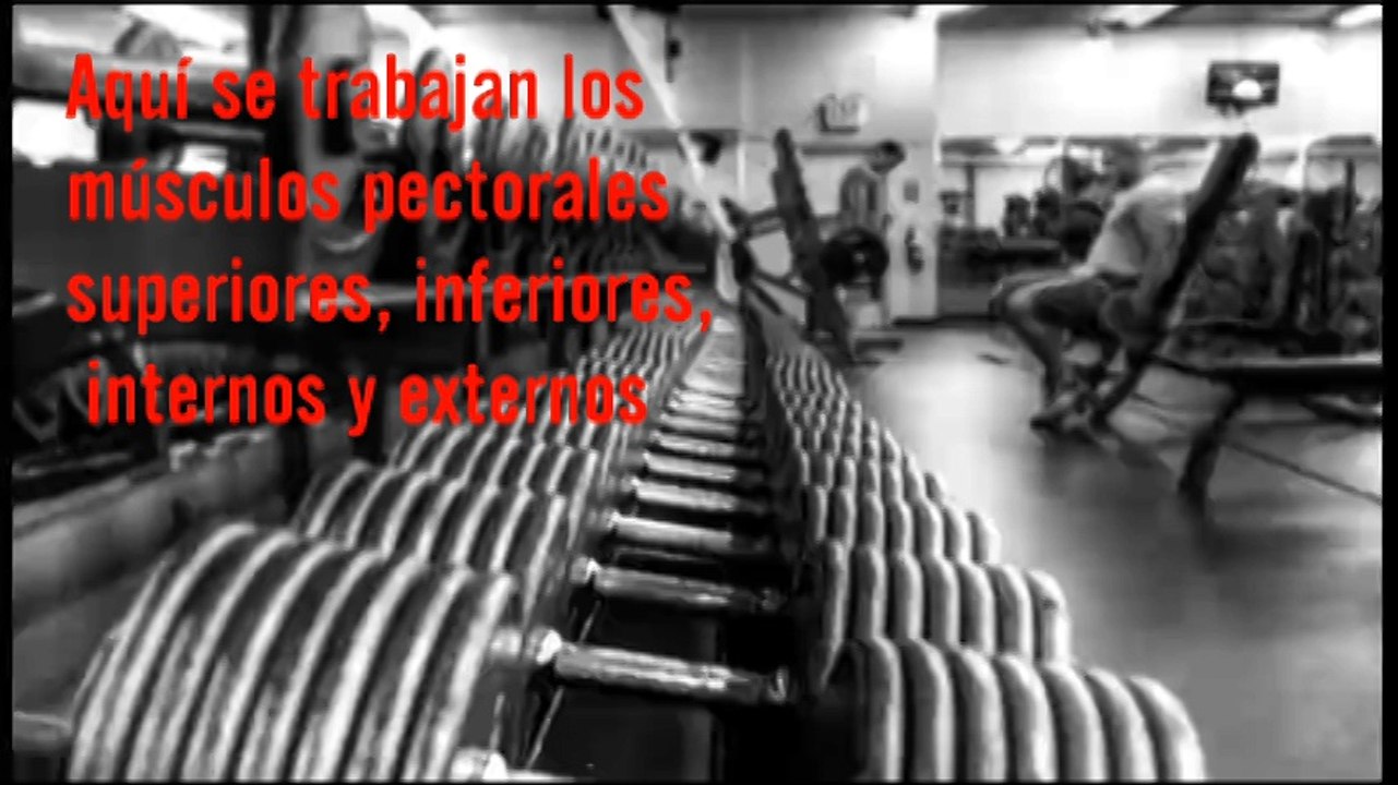 Rutina de Entrenamiento para Pectorales junto a Efraín Jesús Rojas Mata