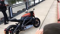 2020 Harley-Davidson LiveWire Walkaround
