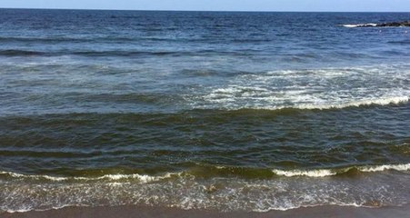 Sakarya'da Suyun Rengi Değişti, Denize Girmek Yasaklandı