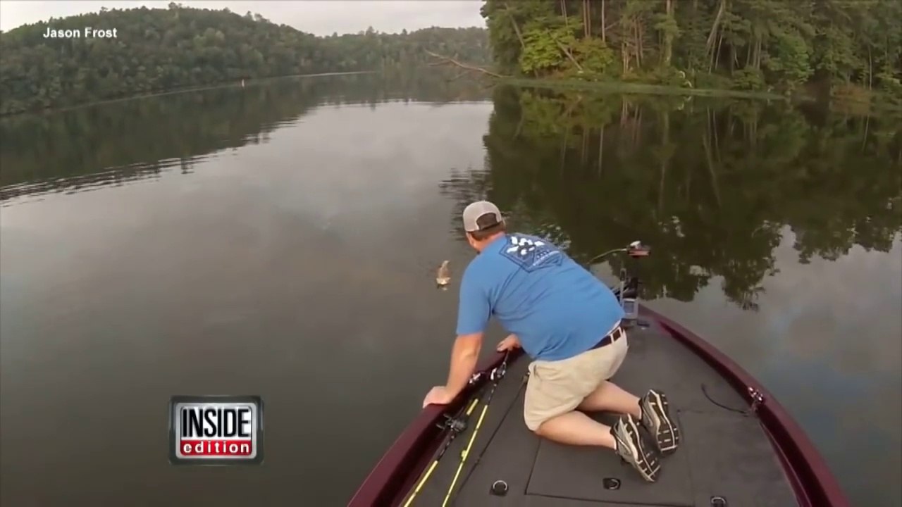 Ce pecheur trouve 2 chatons perdus au milieu d'un lac et les sauve