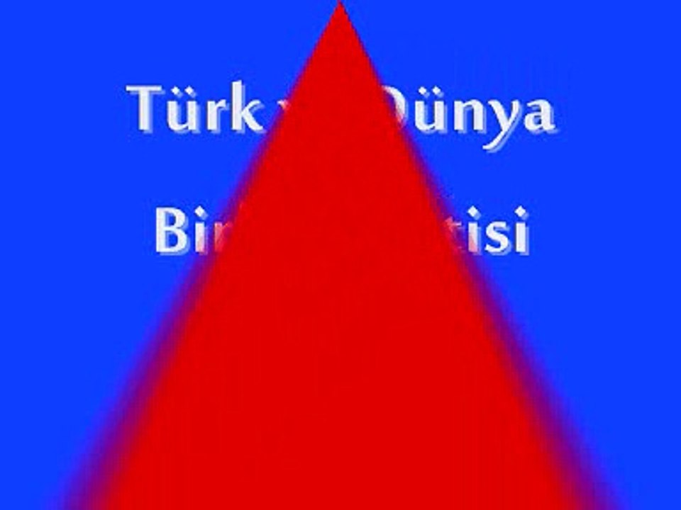 Türk ve Dünya Birliği Partisi Kuruluş