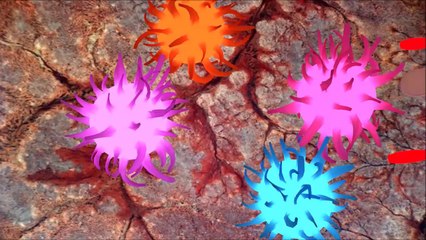 BLENDER ANIMACIONES ESPECIALES PART-1