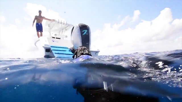 Lila, la perra que trabaja por un mar libre de plásticos