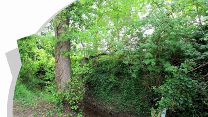 A vendre - Maison - LABASTIDE SAINT PIERRE (82370) - 5 pièces - 115m²