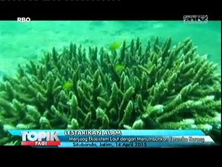 Menjaga Ekosistem Laut dengan Menumbuhkan Terumbu Karang